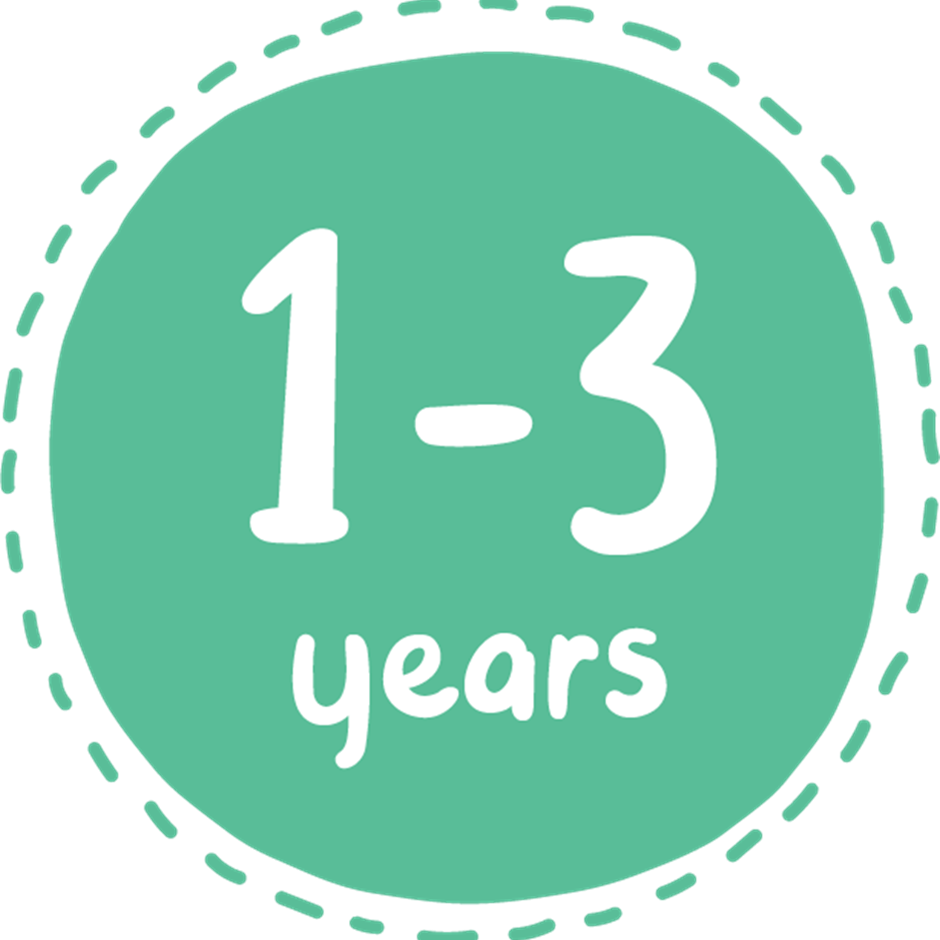 LLC 1-3 YEARS ICON LLC 1-3 YEARS ICON