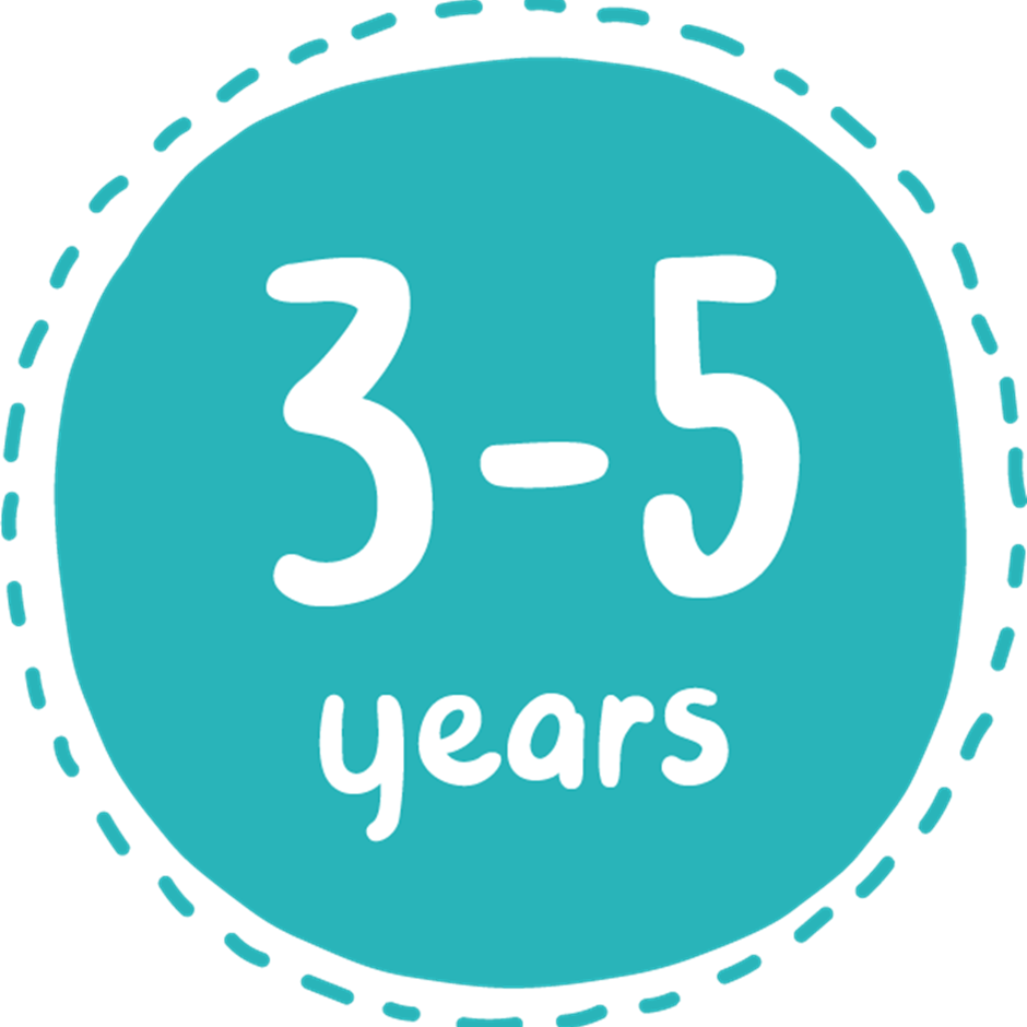 LLC 3-5 YEARS ICON LLC 3-5 YEARS ICON